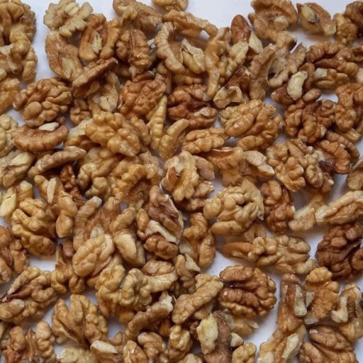  عکس مغز گردوی الموت